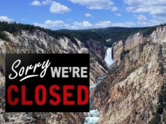 The Price of Rewarding Destructive Behavior