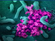 Congress Must Fill the Void