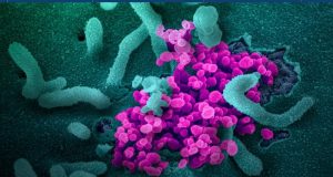 Congress Must Fill the Void