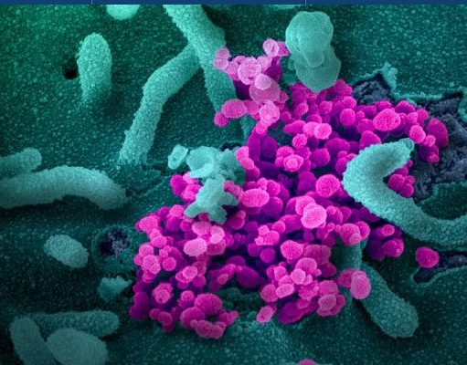 Congress Must Fill the Void