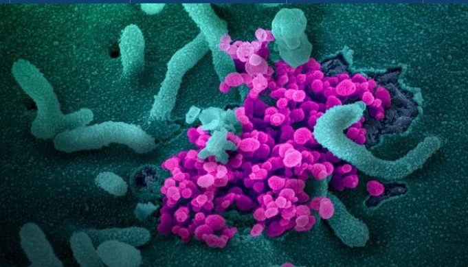 Congress Must Fill the Void