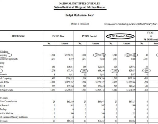Poor Choices for the Taxpayer